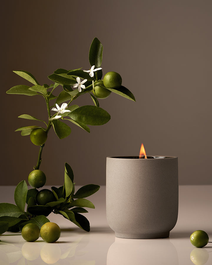 Candle